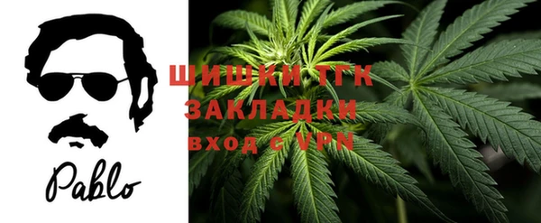 ГАЛЛЮЦИНОГЕННЫЕ ГРИБЫ Нягань