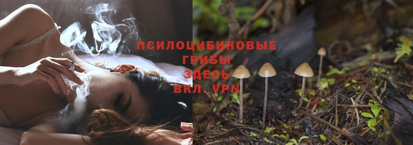 стаф Няндома