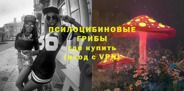 ГАЛЛЮЦИНОГЕННЫЕ ГРИБЫ Нягань