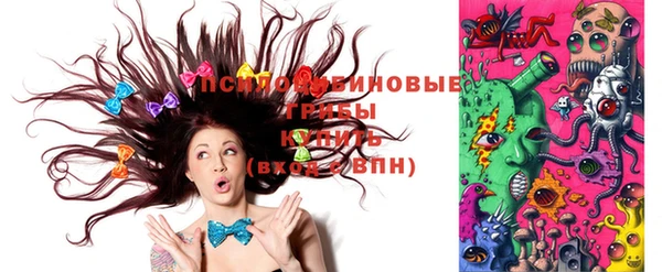 ГАЛЛЮЦИНОГЕННЫЕ ГРИБЫ Нягань